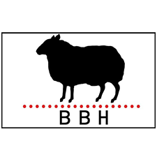 bbh logo